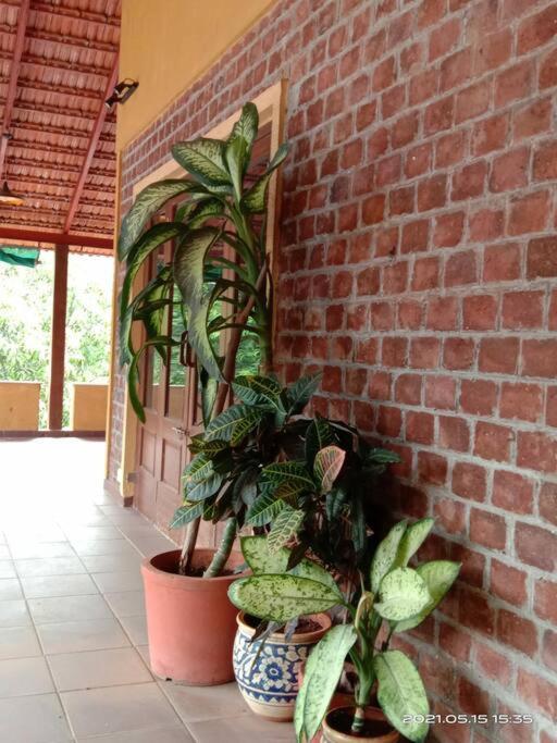 Sohana Eco Retreat Farmhouse - Karjat Chinchavli Ngoại thất bức ảnh