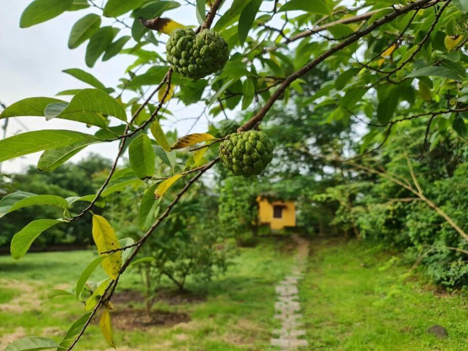 Sohana Eco Retreat Farmhouse - Karjat Chinchavli Ngoại thất bức ảnh
