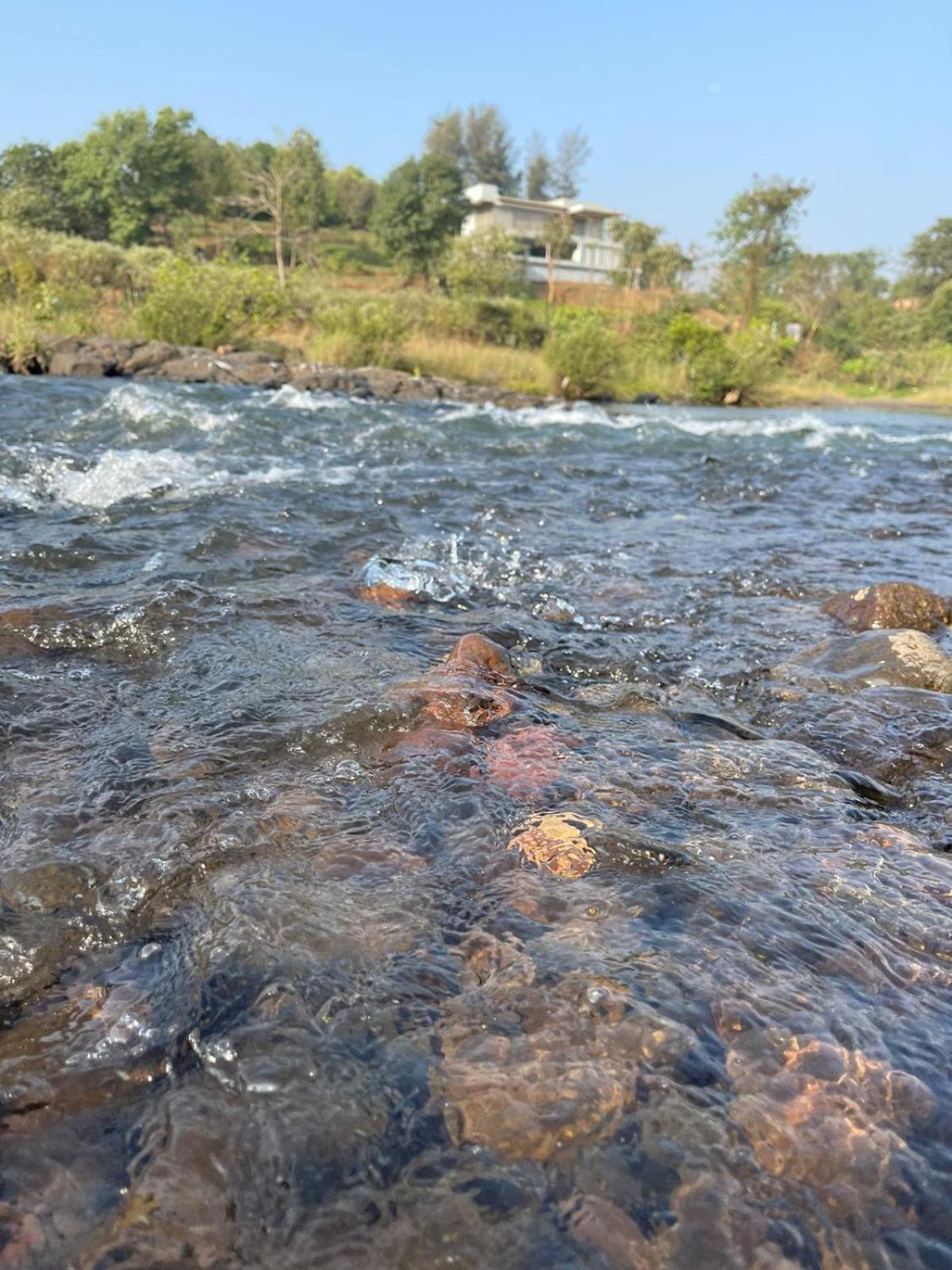 Sohana Eco Retreat Farmhouse - Karjat Chinchavli Phòng bức ảnh